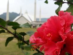 -维乐口腔医院(星海湾分院)