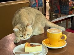 -咖法森林·咖啡  酒吧(天河店)