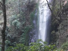 -莫里热带雨林景区