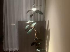 -木兰逸•泰式按摩•头疗•SPA(车公庙店)