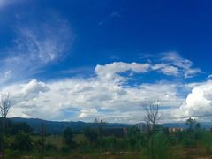 -瑞丽独树成林风景区