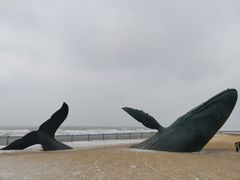 -烟台金沙滩海滨公园