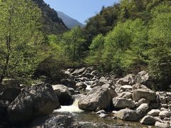 -青峰峡国家森林公园