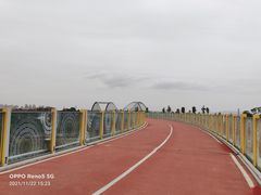 -白鹭湾湿地公园