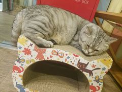 -小时光咖啡馆(开森度假森林店)