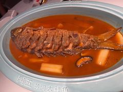 -阿五黄河大鲤鱼(英协路店)
