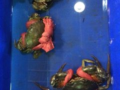 -幸福姐海鲜大排档