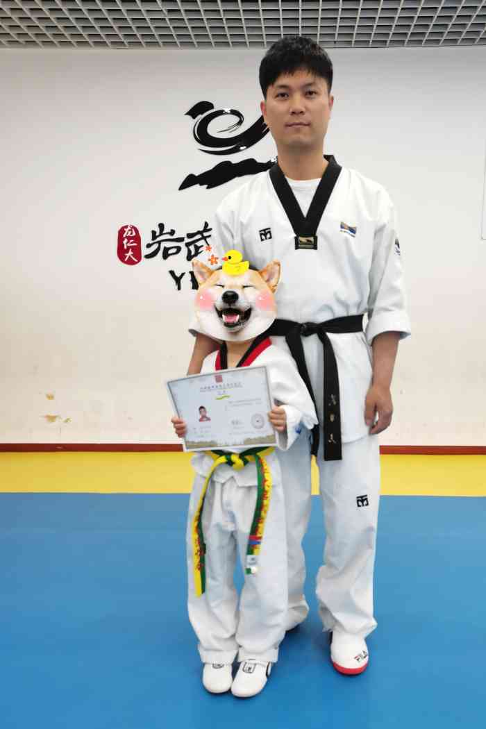 龙仁大岩武跆拳道