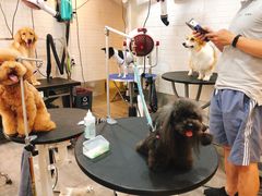 -PETKIT小佩宠物(古北店)