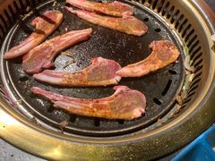 -杨记齐齐哈尔烤肉(五莲路店)