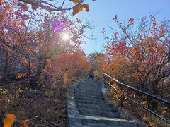 -香山公园
