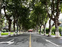 -四川大学(望江校区)