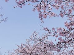 -龙美术馆(西岸馆)