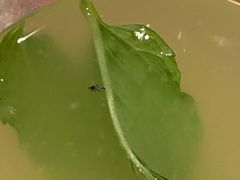 -绿茵阁西餐厅(中央广场店)