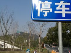 -上海佘山国家森林公园东门地面停车场