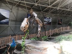-中国第四纪冰川遗迹陈列馆