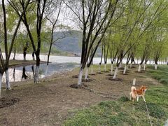 -长广溪湿地公园