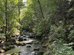-香炉山国家森林公园