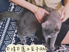 -平行世界·猫咖(首经贸店)