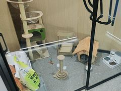 -网鱼网咖·电竞(南开百脑汇店)