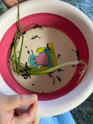 -小博士专业婴儿理发