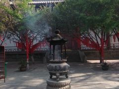 -西安青龙寺遗址景区