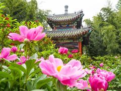 -红螺寺