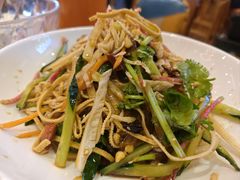 -白天鹅家宴·东北菜