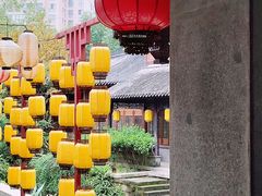 -龙潭水乡