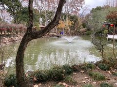 -上海醉白池公园