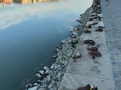 -多瑙河畔鞋履雕塑