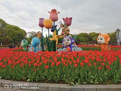 -上海鲜花港