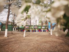 -山东大学(趵突泉校区)