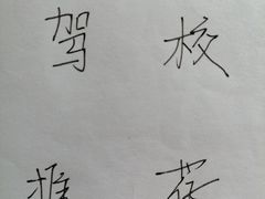 -港安驾校·直营学车·陪驾(后瑞店)