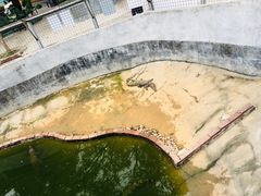 -观澜山水田园