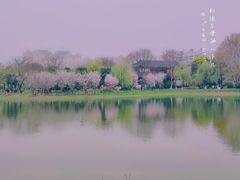 -堤角公园