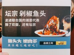 -坛宗剁椒鱼头(河西王府井店)