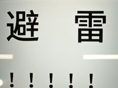 -粤点越有·茶点·粤菜(樵岭国际店)