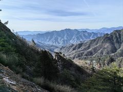 -朱雀国家森林公园