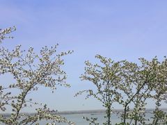 -幕燕滨江·长江观音景区