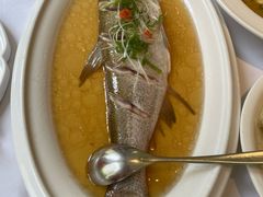 -老洋房花园饭店(绍兴路店)