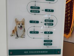 -瑞派康怡24h宠物医院·犬猫医疗中心·微创绝育(瑞景分院)