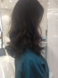 -潘多拉Hairsalon