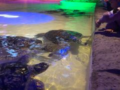 -华夏文旅海洋公园