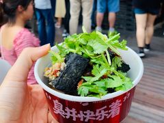 -黑色经典臭豆腐·湖南特产(坡子街特产局店)