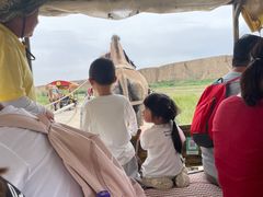 -水洞沟旅游区