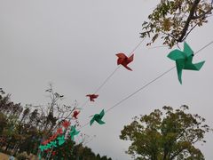 -上海长兴岛郊野公园