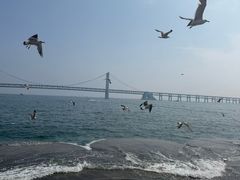 -星海广场