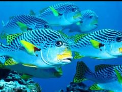 -常州海昌海洋探索馆