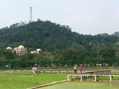 iphone_upload_pic-红山村